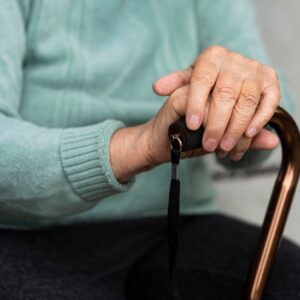 WALKING STICK